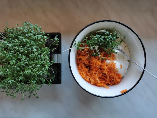Topfen mit geraspelter Karotte und Kresse verrühren. | Foto: Katrin Ebetshuber