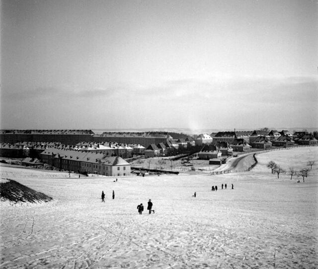 Damals um 1950: Ein Winter am Froschberg
Noch viel Freiraum für winterliche Vergnügungen bot der Froschberg seinen jungen Bewohnerinnen und Bewohnern zu Beginn der 1950er Jahre. Der Blick geht vom oberen Ende der Ziegeleistraße über die in den 1940ern neu errichtete Froschbergsiedlung Richtung Süden. Im Hintergrund erhebt sich die monumentale Verbauung der Froschbergkrone an der Händelstraße, die übrigen Bauten der Siedlung sind lockerer verteilt. | Foto: Archiv der Stadt Linz