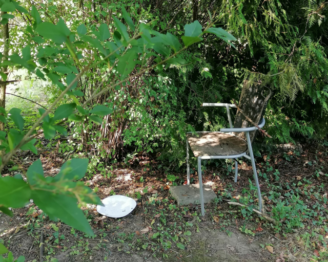 Ein Mann besucht seine Katze täglich in seinem ehemaligen Garten.  | Foto: MeinBezirk.at