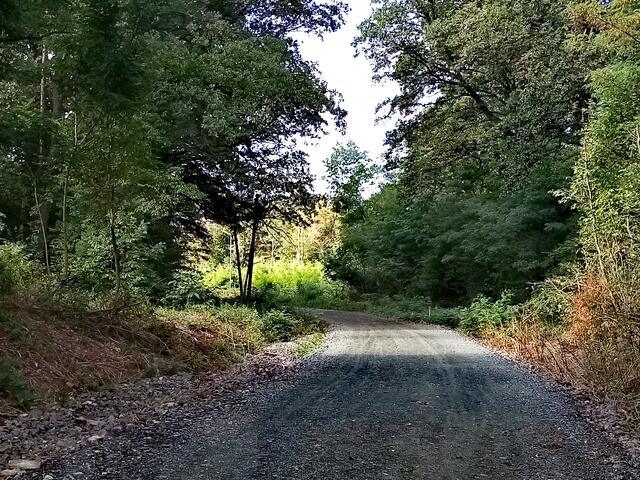 In die entgegengesetzte Richtung - Oberschützen zum Bahnhof.
