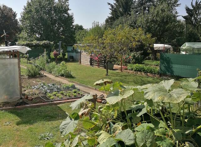 Für die meisten Pächterinnen und Pächter ist ihr Garten ihr Ein und Alles. | Foto: MeinBezirk.at