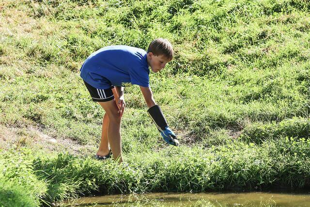 Bis zu einem Kilo Fleisch benötigen die Störche pro Tag als Nahrung. Die Familie will aber den natürlichen Jagdinstinkt der Tiere nicht unterdrücken und füttert die Vögel, wenn sich diese nichts anderes gefunden haben. | Foto: Danny Jodts