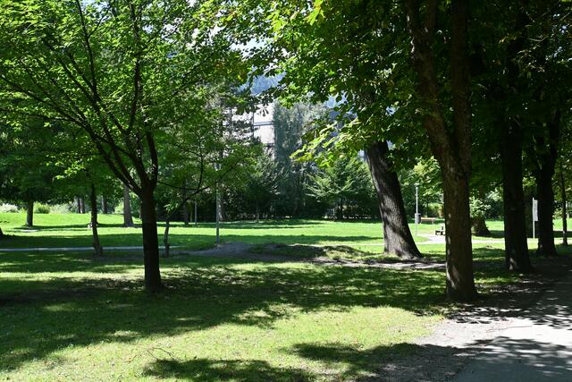 Ein weiterer Tatort der Vandalen: der Halleiner Stadtpark. | Foto: Martin Schöndorfer, 2022