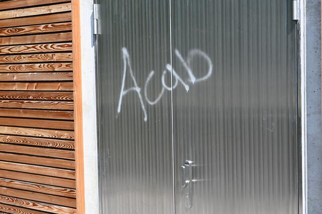 Auch im Stadtpark Hallein waren die Sprayer unterwegs | Foto: Martin Schöndorfer, 2022