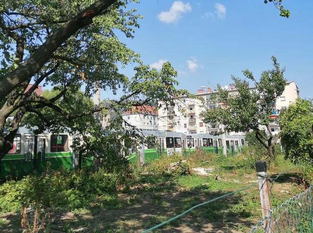 Die Gärten in Lend müssen dem Ausbau der Straßenbahnremise 3 weichen.  | Foto: MeinBezirk.at