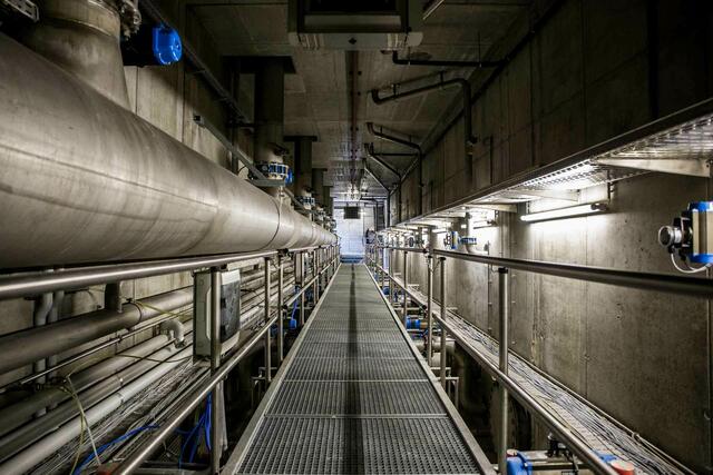 Foto: Lukas Pfurtscheller