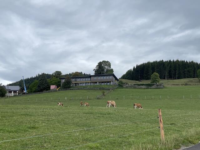 Die Volksschule Sörg liegt inmitten der herrlichen Natur. | Foto: RegionalMedien Kärnten
