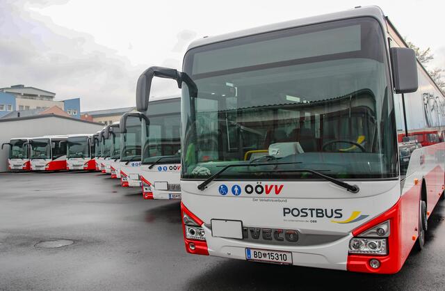 Die Busse des OÖVV sind bereit für den Schulbeginn. | Foto: OÖVV