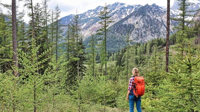 Der Wanderweg führt durch den Wald und eröffnet beeindruckende Blicke auf die umliegende Berglandschaft. | Foto: Weges OG