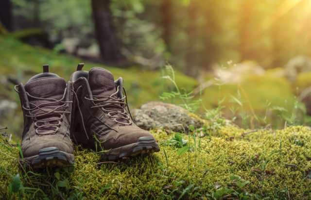 Symbolfoto | Foto: stock.adobe.com/at/Li Ding