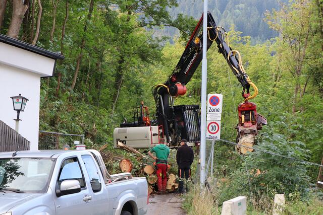 Die Forstarbeiten im geschützten Landschaftsteil Burschl wurden abgeschlossen. Der kleine Stadtwald wird wieder aufgeforstet. | Foto: Othmar Kolp