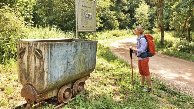 Während unserer Wanderung kommen wir bei einer Tafel und einem Hunt vorbei, die uns auf die Abbaugeschichte der Glanzkohle hinweisen. | Foto: Weges OG