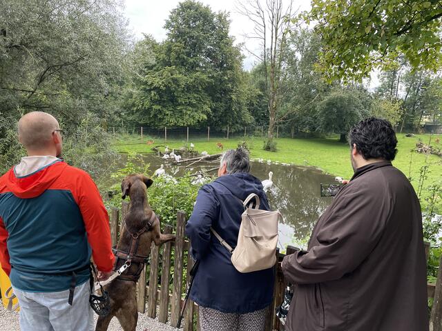 Viele Tier-Paten besuchten vergangene Woche den Salzburger Zoo und erhielten Einblick in das Leben der Tiere bei Dämmerung. | Foto: sm