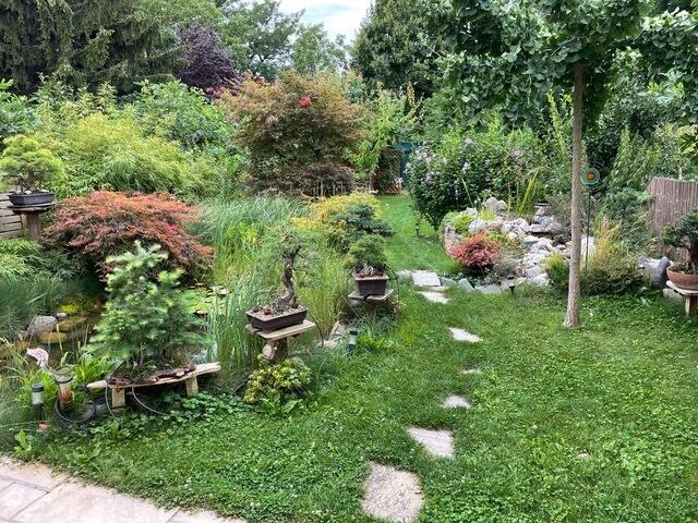 Heute, Juli 2022, ist der Garten eine grüne Oase. | Foto: Friedrich