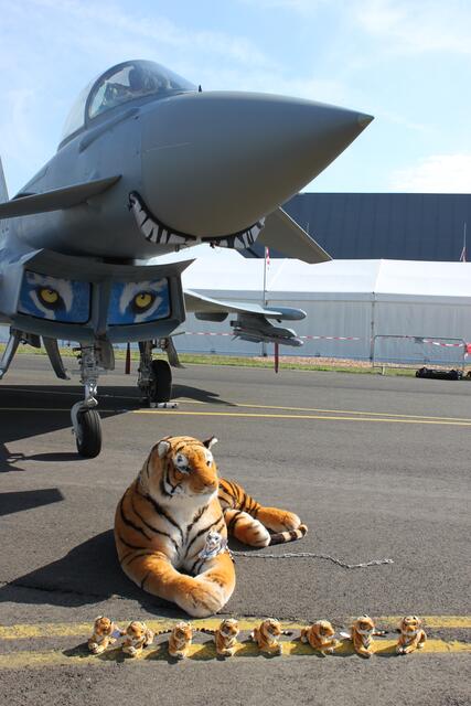 Die Fliegerstaffel 11 "Tigers" der Schweizer
Luftwaffe hatte ihre Maskotten dabei. | Foto: Angelika Brunner