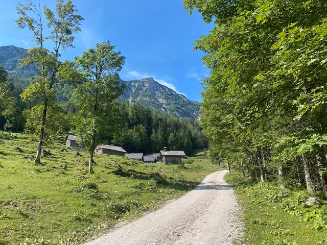 Wandertipp mit Video Tour auf den Hohen Kalmberg (über Saurücken