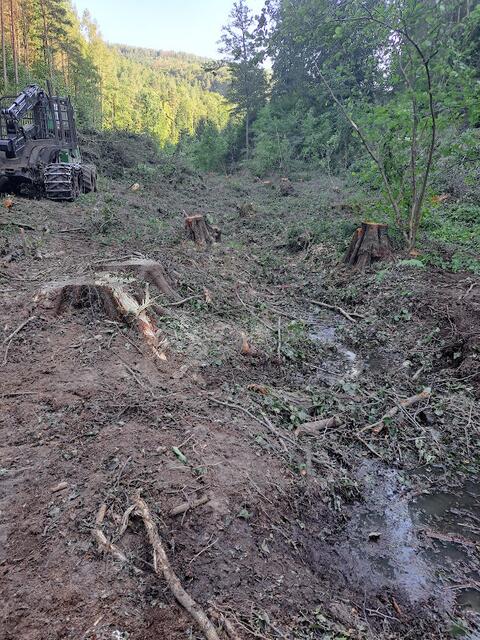 Der Boden und die Gewächse wurde von Harvestern zerstört | Foto: Naturschutzverein Forchtenstein