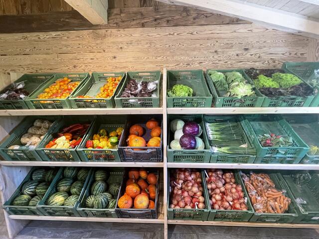 Ein breites Sortiment an Obst und Gemüse wird beim Weberhof in Mils geboten. | Foto: Kendlbacher