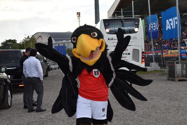 Foto: Michael Strini