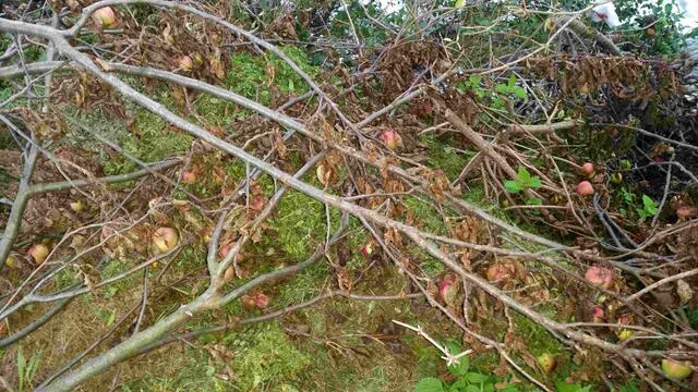 Foto: Tiroler Bergwacht - Einsatzstelle Stubai