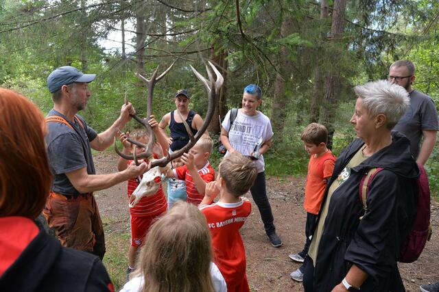 Gemeindeförster Toni Rattacher holte eindrucksvolle Dinge aus dem Rucksack. Welchem Waldbewohner gehört dieses Geweih? | Foto: MG Telfs/Dietrich