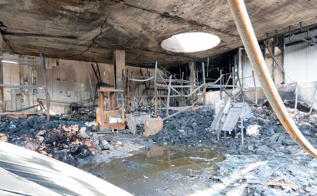 Foto: Magistrat Salzburg/Killer