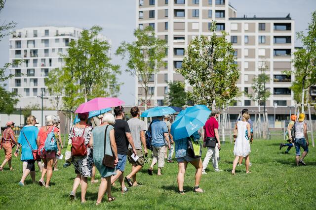 Zur Not werden auch Schirme zur Verfügung gestellt. | Foto: Luiza Puiu