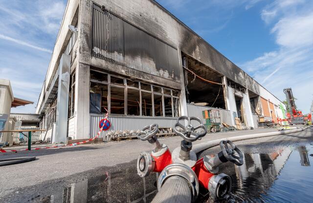 Foto: Magistrat Salzburg/Killer