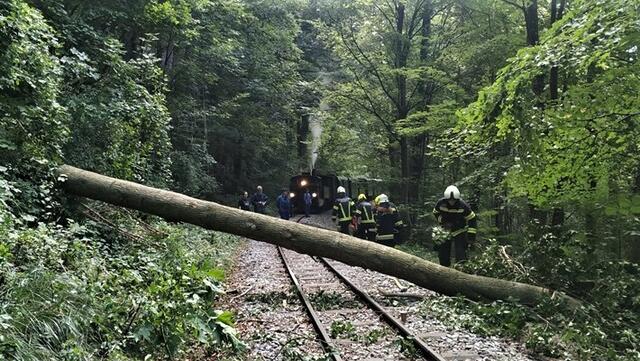 Fotos: FF Neuzeug