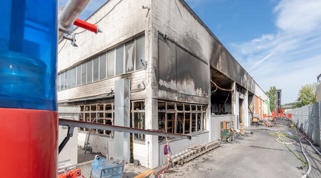 Foto: Magistrat Salzburg/Killer