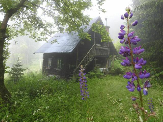 Spital am Semmering - Fatschenbichler Alm | Foto: WOCHE