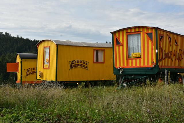 Jetzt haben Sophia-Marie und Michael Luftensteiner, Pabneukirchen,  einen Verein gegründet: Zirkushof - kulturelle Bildung am Bauernhof.  | Foto: Zinterhof