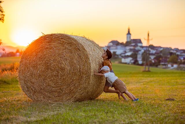 Feldarbeit ist erledigt, jetzt müssen die Strohballen geschlichtet werden. Daniel &amp; Felix helfen fleißig mit. | Foto: Michaela Eckerstorfer