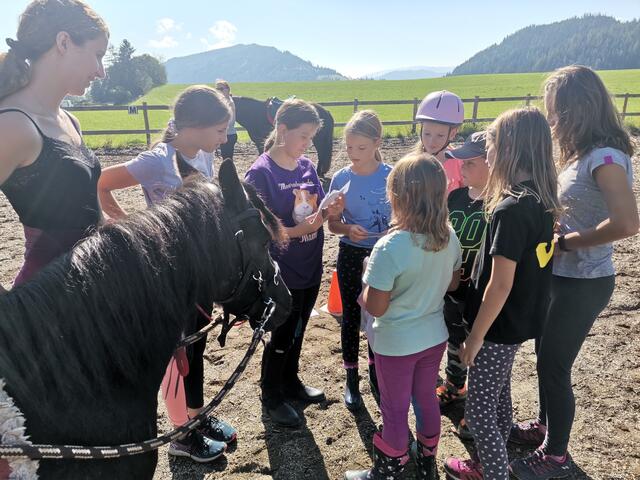 Die Kinder konnten in den Ferien einen Tag am Ponyhof verbringen. | Foto: Stadtgemeinde Knittelfeld