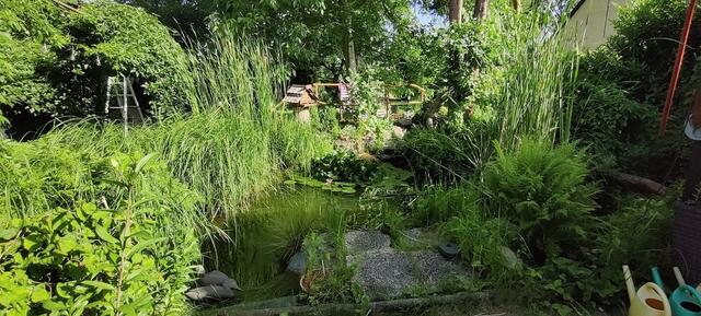 Der Garten von Familie Karasek ist 1.500 m2 groß. | Foto: Karasek