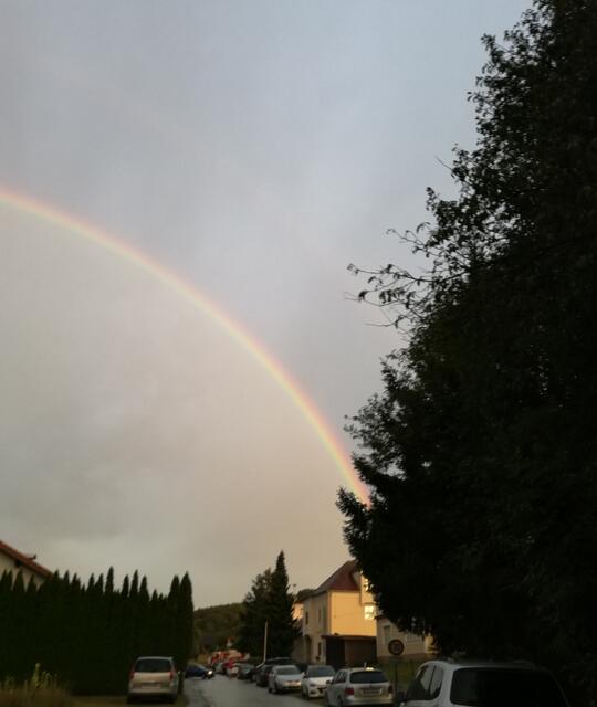 So schön!  | Foto: Elisabeth Paukovitsch