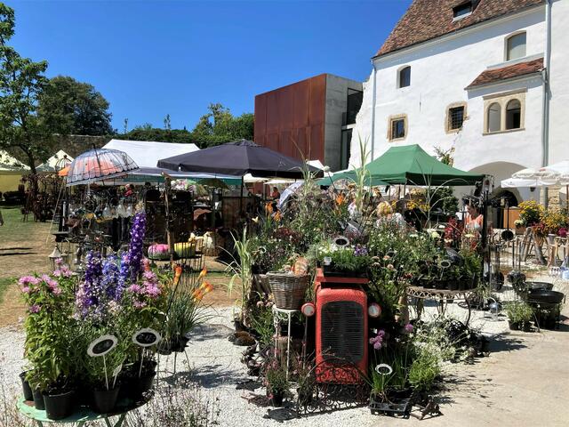 Schloss Hartberg, Gartenlust  am 6. und 7. August 