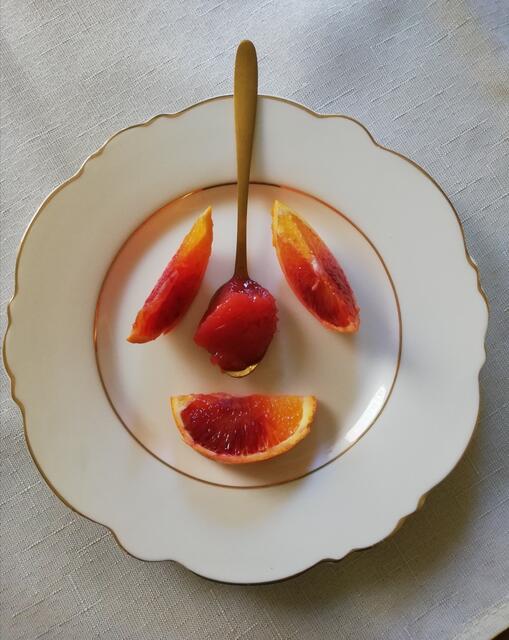 Foto: Elisabeth Paukovitsch