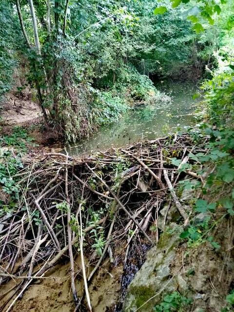 Wer kennt das?  Zum Beitrag 