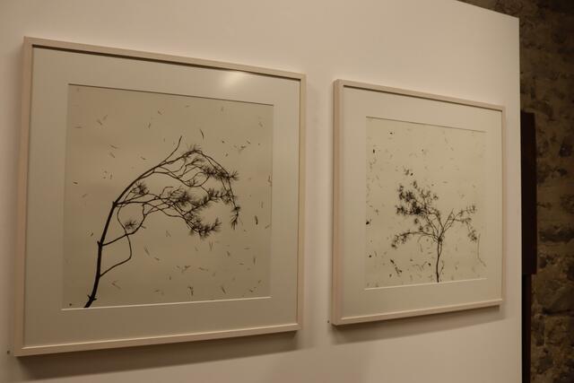 Foto: Elisabeth Zangerl 