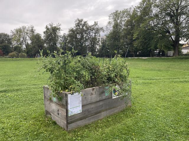 Foto: Engelmann