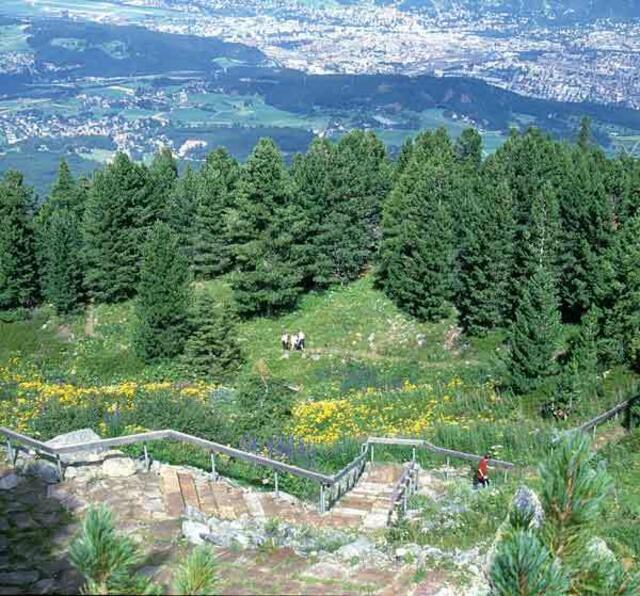 Der Garten befindet sich direkt neben der Bergstation der Patscherkofelbahn. | Foto: Institut für Botanik