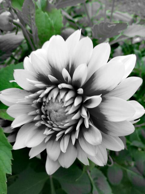 Foto: Elisabeth Paukovitsch