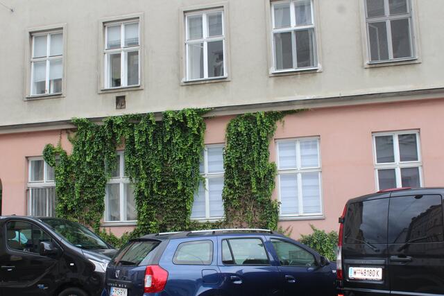Ein Beispiel einer grünen Fassade im Supergrätzl. | Foto: Sabine Ivankovits