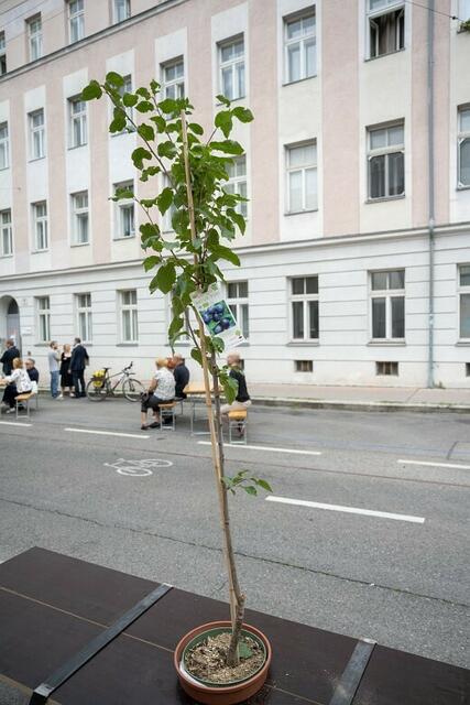 Foto: René Brunhölzl