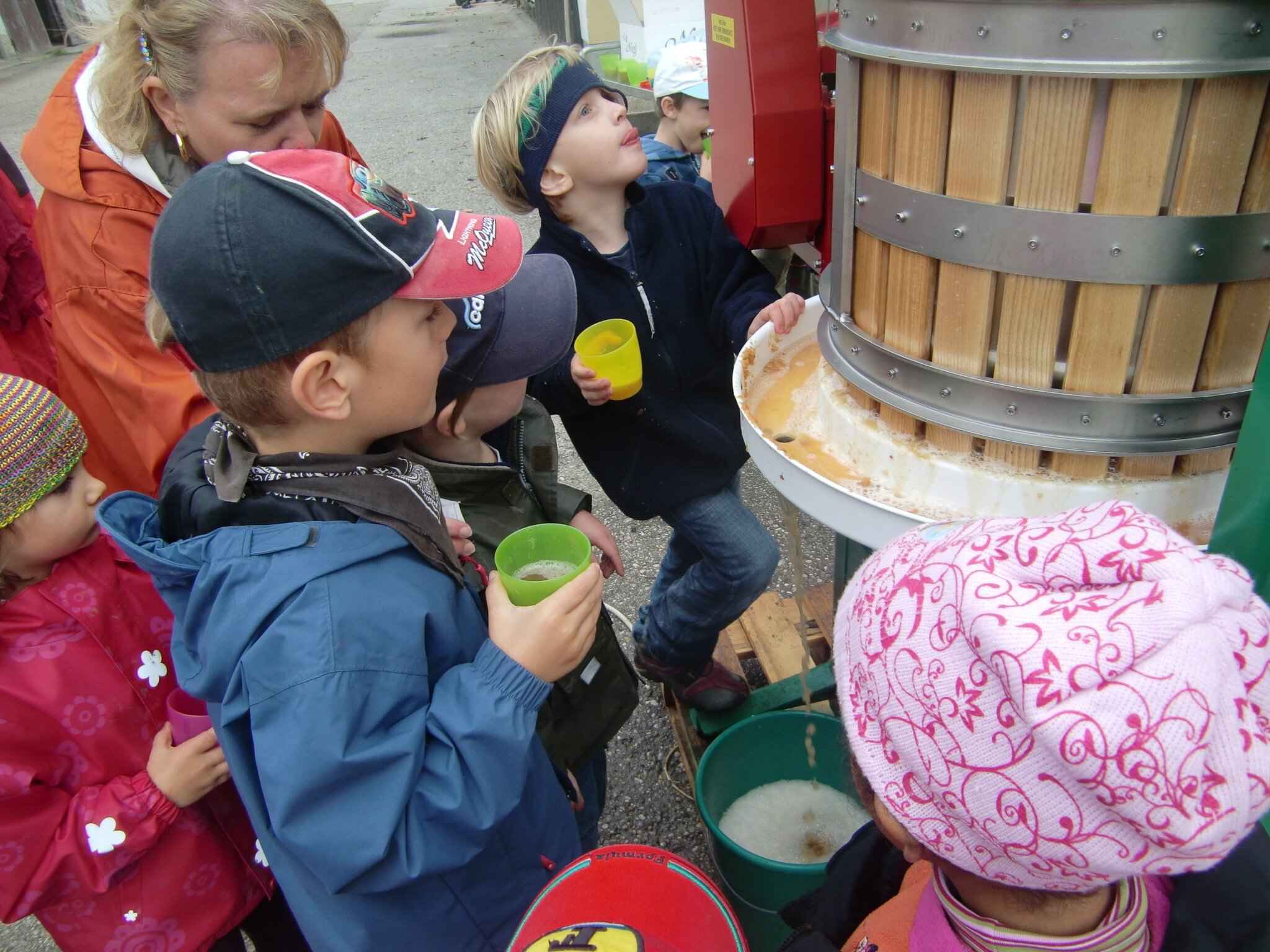 Enjoy garden treasures for a long time: Preserved, boiled and fermented - ...