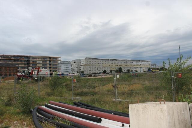 Dieses Areal wird erst ab 2024 bebaut. Hier liegen eventuell noch Fliegerbomben, die zuerst geborgen werden müssen.  | Foto: Sabine Ivankovits