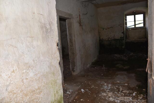 Foto: Robert Zinterhof