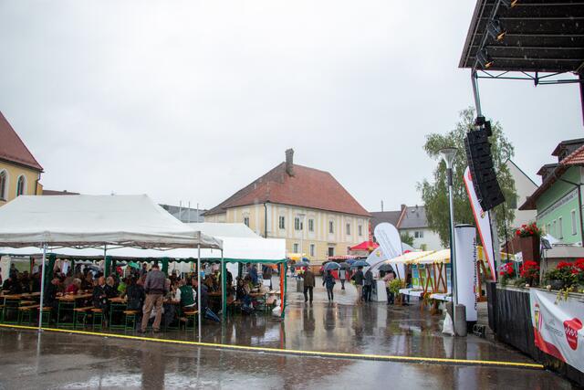 Foto: BRS/Holzinger