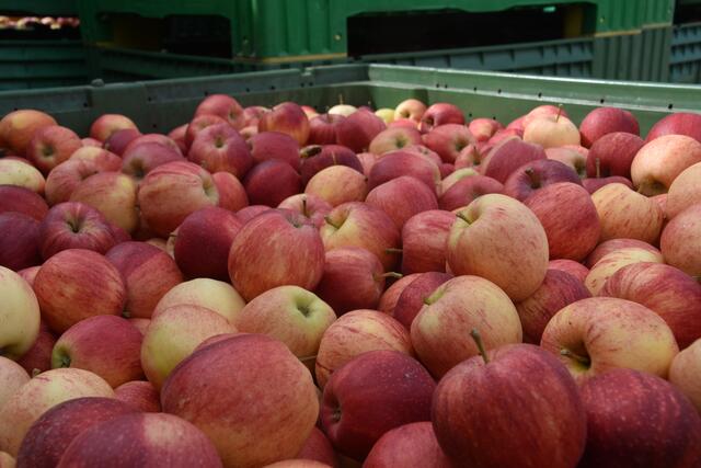 Foto: Martin Wurglits